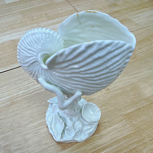 Royal worcester white shell - royal,